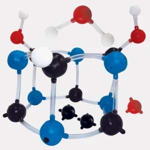 Modelo Molecular con 140 pzas
