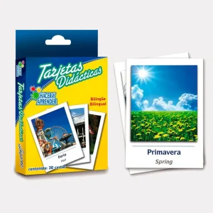 Tarjetas Didácticas Clima