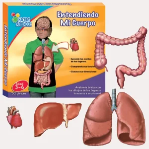 Entendiendo mi cuerpo C/15 pzas