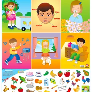 Póster Los Cinco Sentidos