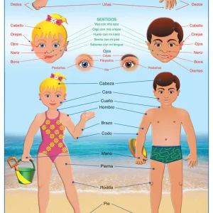 Póster Mi Cuerpo / My Body