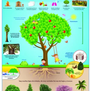 Póster El Árbol