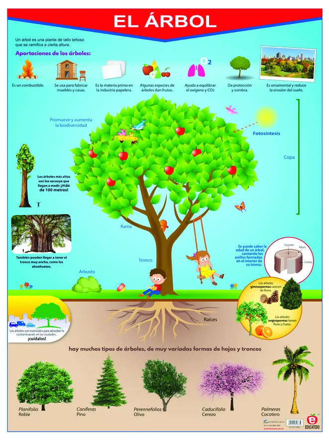 Póster El Árbol