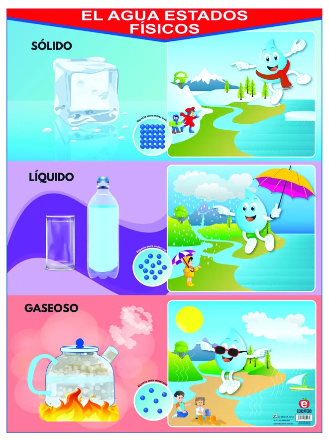 Póster El Agua Estados Físicos