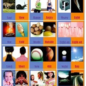 Póster Opposites 1 / Opposites 2