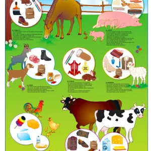 Póster Animales de la Granja y Derivados