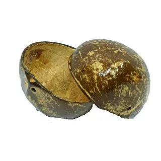 Cocos Hawaianos (Infantil)