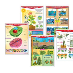 Colección de Pósters Bios