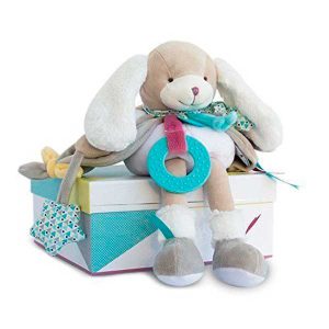 Perrito Actividades Chien Toopi en Caja