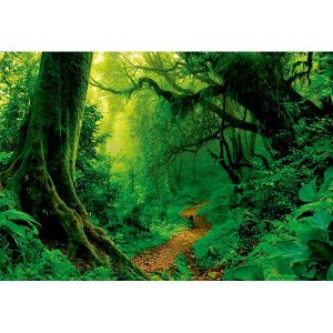 Puzzle 1000p Bosque Encantado