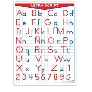 PÓSTER LETRA SCRIPT B-0238