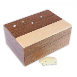 Caja Secreta Noche Polar