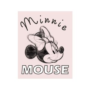 CUADRO DE LONA DISNEY MINNIE MOUSE 20X25CM