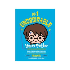 CUADRO DE LONA HARRY POTTER N1 UNDESIRABLE 30X40CM