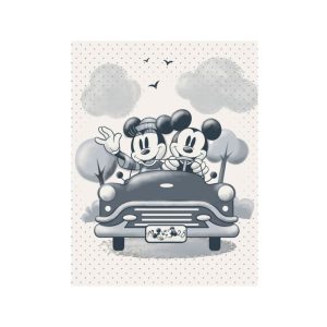 CUADRO DE LONA MICKEY Y MINNIE EN COCHE 30X40CM