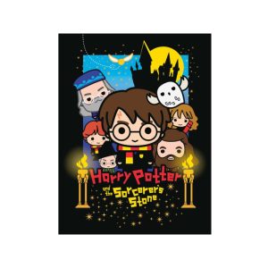 CUADRO LONA HARRY POTTER PIEDRA FILOSOFAL 30X40CM