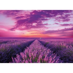 Puzzle Clementoni Campo de Lavanda de 1000 Piezas