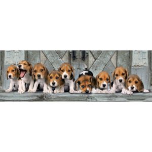 Puzzle Clementoni Panoramico Beagles De 1000 Piezas