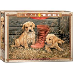 Puzzle Eurographics Algo viejo algo nuevo de 1000 Piezas