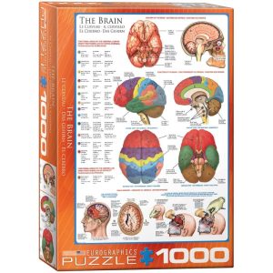 Puzzle Eurographics El cerebro de 1000 Piezas