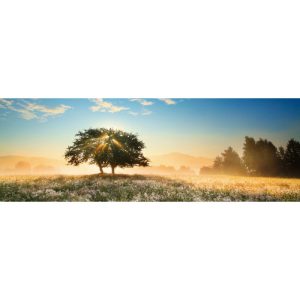 Puzzle Heye Juego de Luz de 1000 Piezas