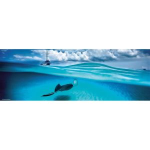 Puzzle Heye Stingray Panoramico de 1000 Piezas