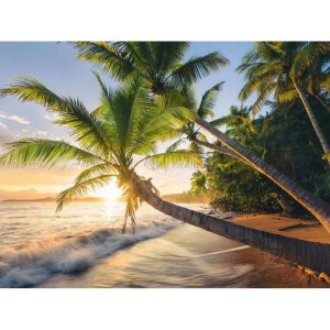 Puzzle Ravensburger Playa Secreta De 1500 Piezas