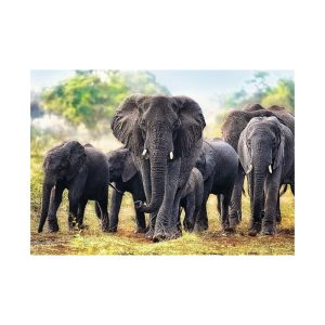 Puzzle Trefl Elefantes africanos de 1000 Piezas