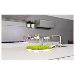 Stem flor secado azul-naranja